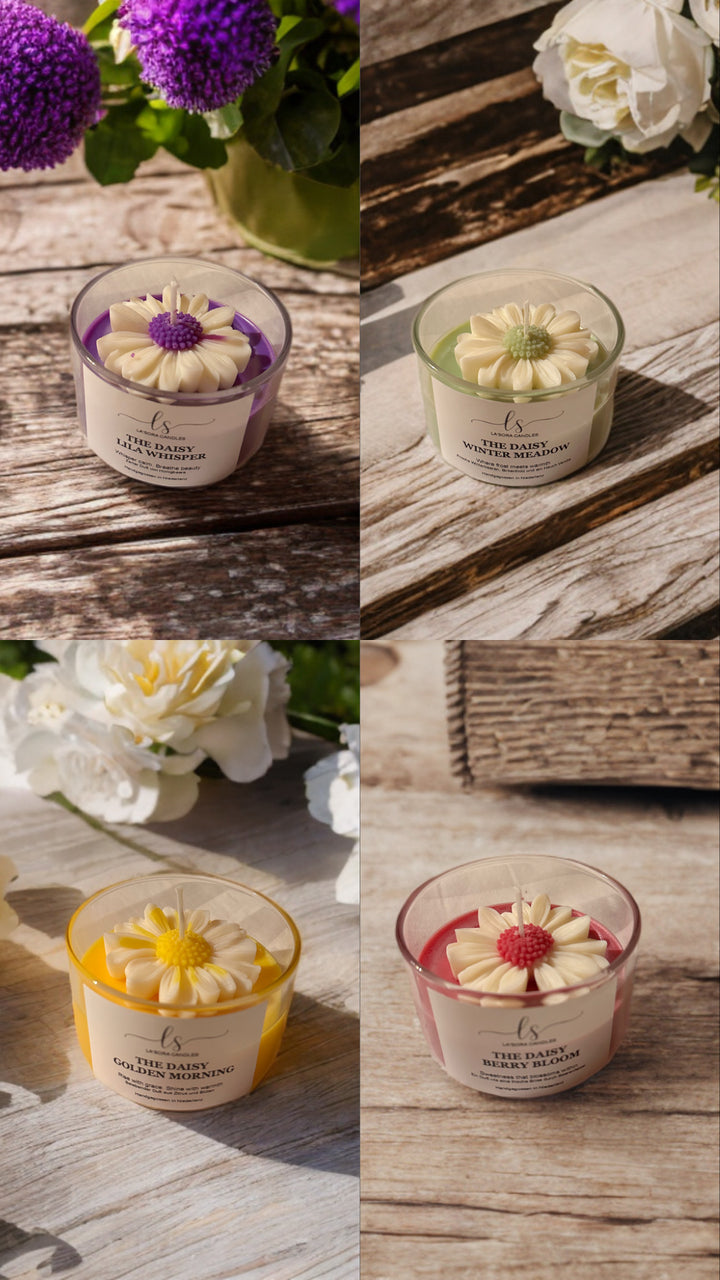 🌸 The Daisy Edition